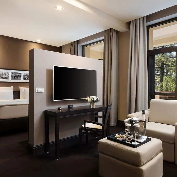 Делюкс с видом на парк