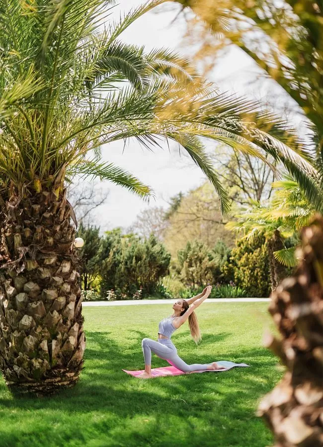 Тренировки в субтропическом саду Тренировки в субтропическом саду