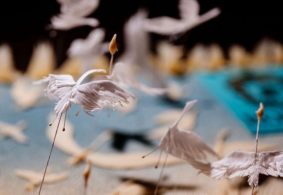 17 лет - высокий полет! 