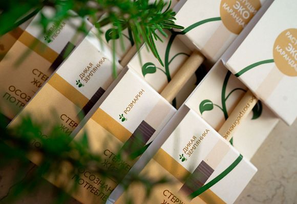 ЭКОЛОГИЧЕСКИЙ ПРОЕКТ: РАСТУЩИЙ КАРАНДАШ