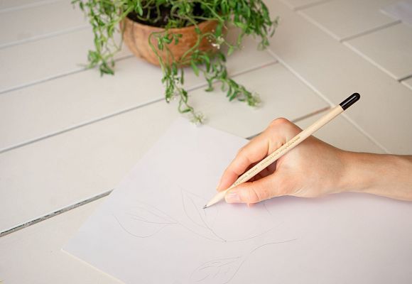 ЭКОЛОГИЧЕСКИЙ ПРОЕКТ: РАСТУЩИЙ КАРАНДАШ