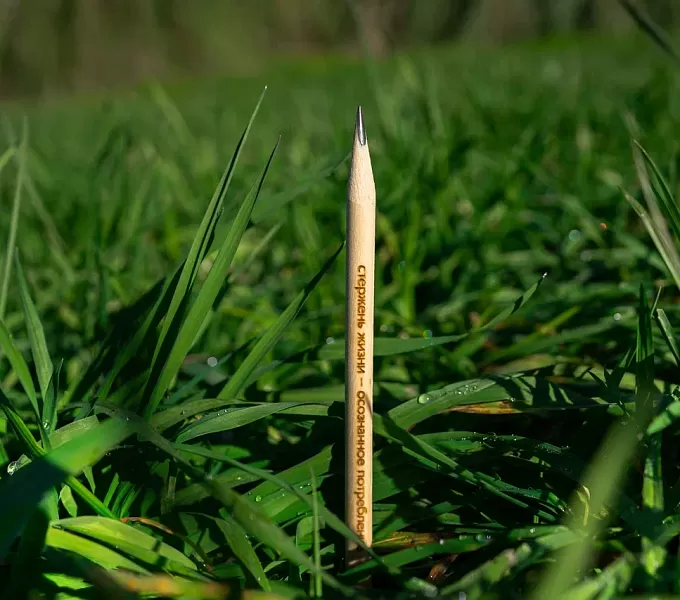 ЭКОЛОГИЧЕСКИЙ ПРОЕКТ: РАСТУЩИЙ КАРАНДАШ