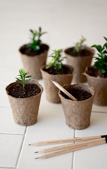 Стержень жизни – осознанное потребление! Стержень жизни – осознанное потребление!