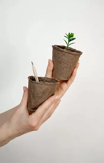 Стержень жизни – осознанное потребление! Стержень жизни – осознанное потребление!